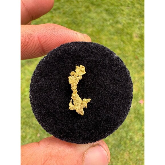 California Native Gold Crystal - 0.94 grams - Picture 5 of 6